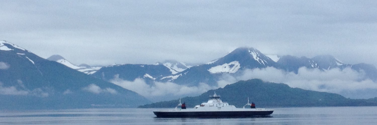 Cynthia Platou banner