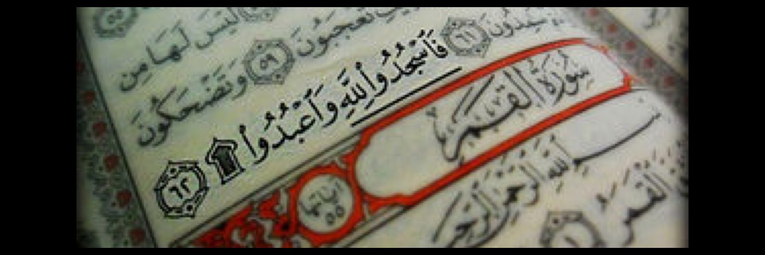 salahmashraqi's profile banner image