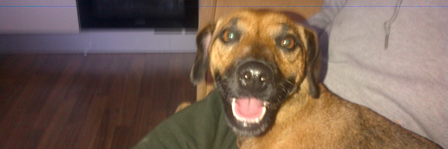 Bitchface771's profile banner image