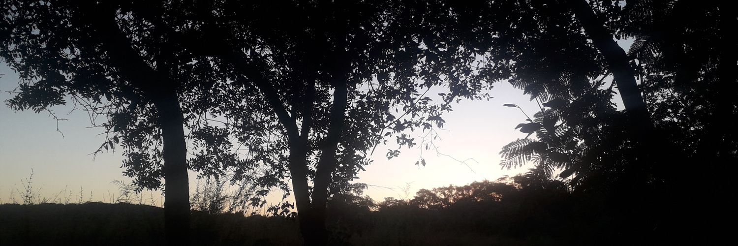 XimuRiveros's profile banner image