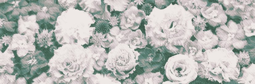 hazisora's profile banner image