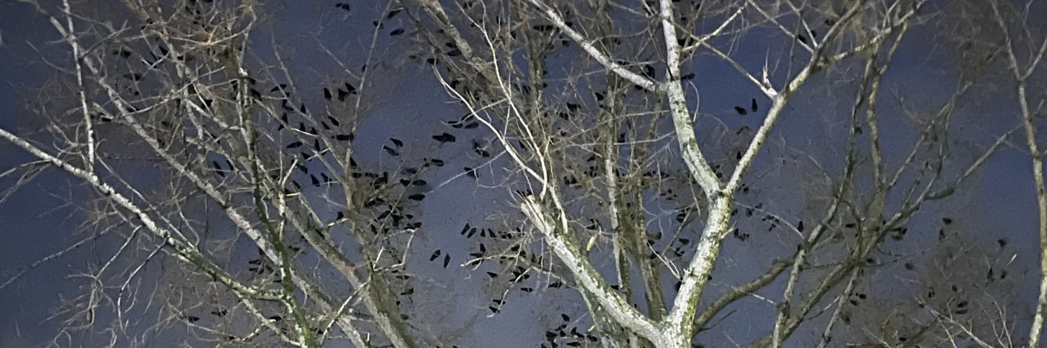 AlwaysScreaming banner