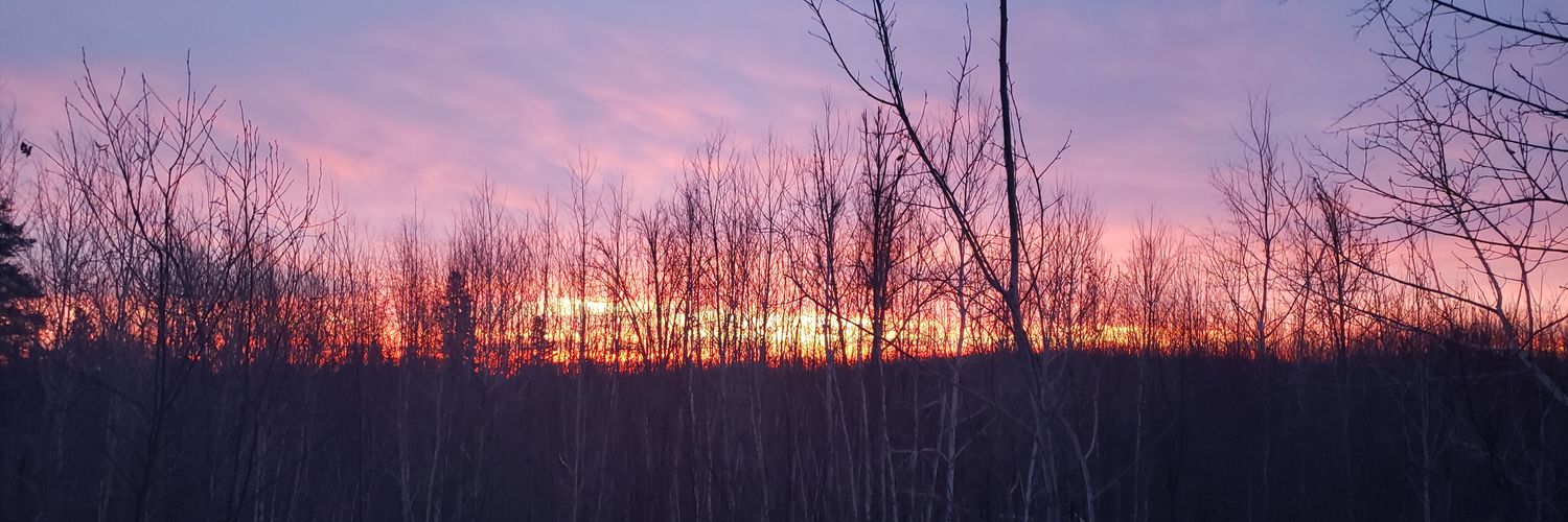 JacksonJarid's profile banner image
