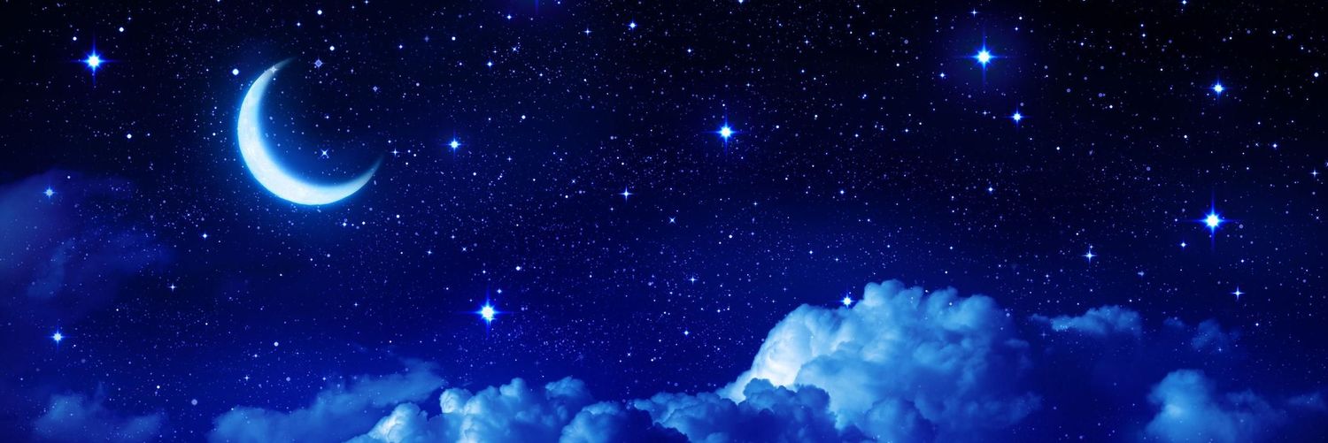 Seb banner