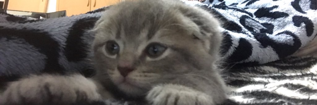 Ms_xxi's profile banner image