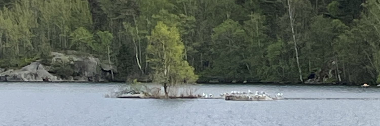 Gunborg Ström banner