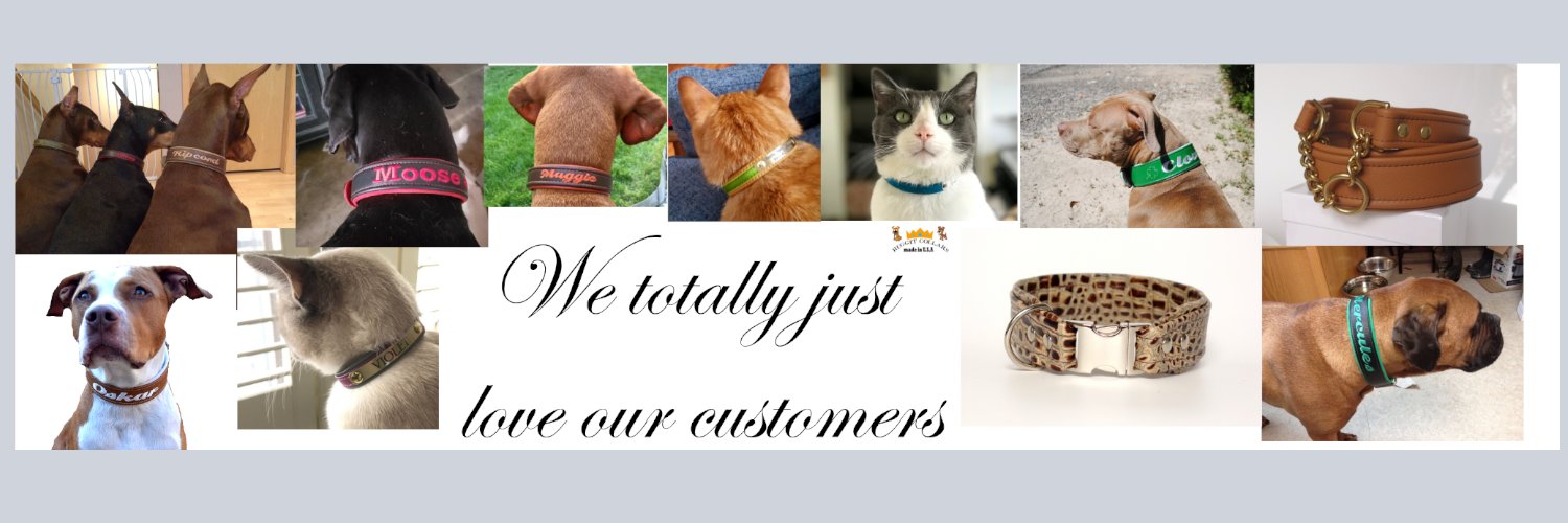 RuggitCollars's profile banner image