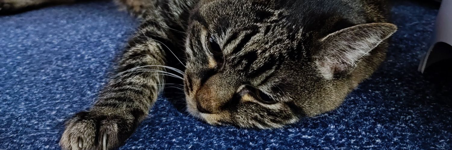 ttakkeyy's profile banner image