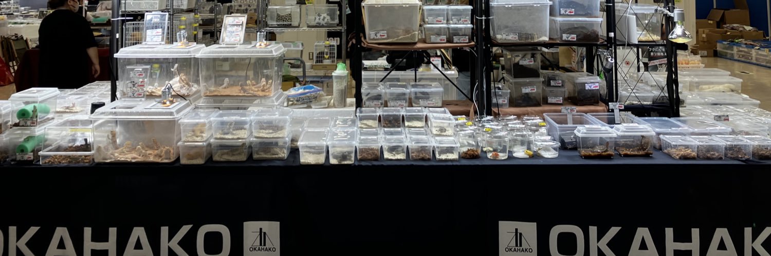 OKAHAKO爬虫類ショップ@3/15広島爬虫類3/28,29ナゴレプ banner