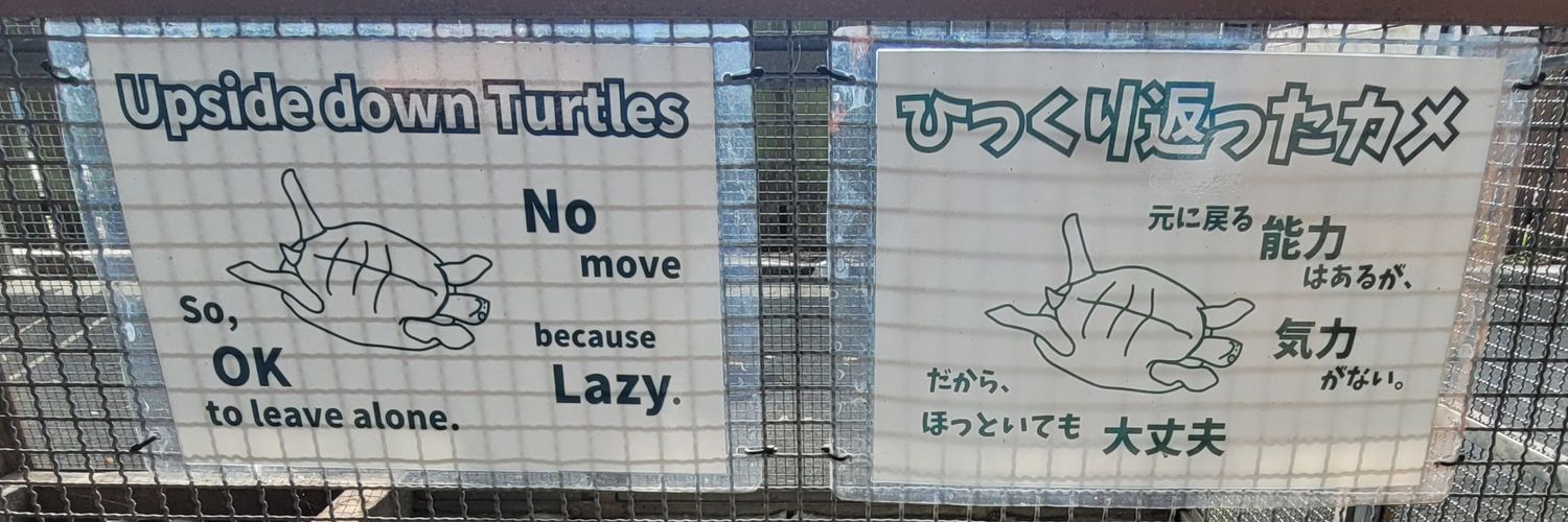 (｡_｡)👍🍊🐯 banner