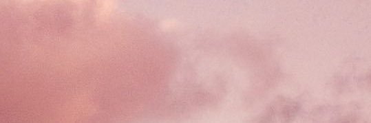 nvsxo's profile banner image