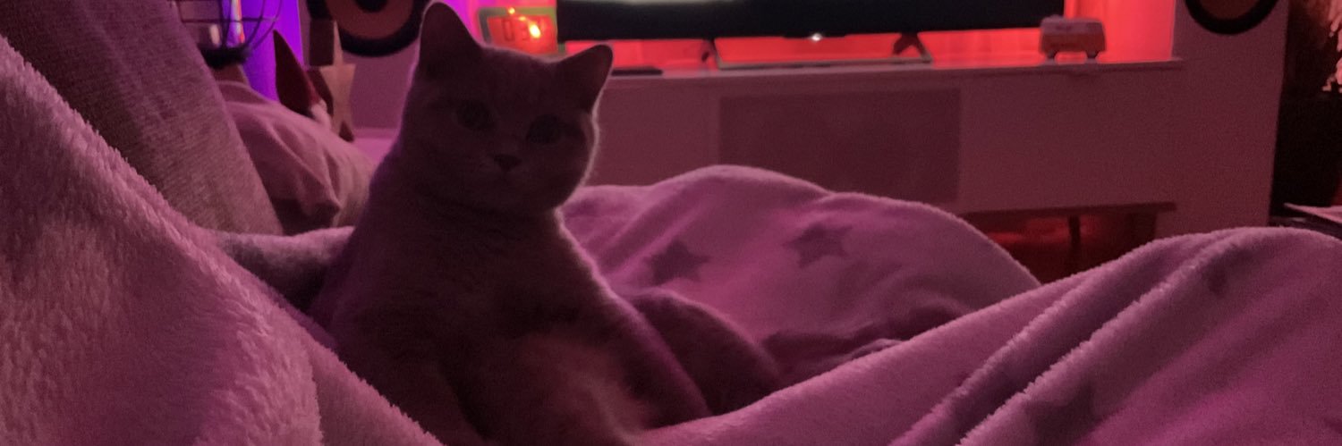 𝑬𝒊𝒍𝒆𝒆𝒏 (filou und elmo love acc) banner