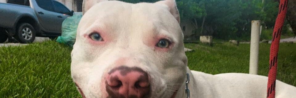 brunnoliveira96's profile banner image