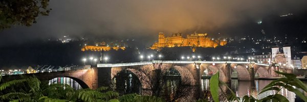 mp_hartmann Profile Banner