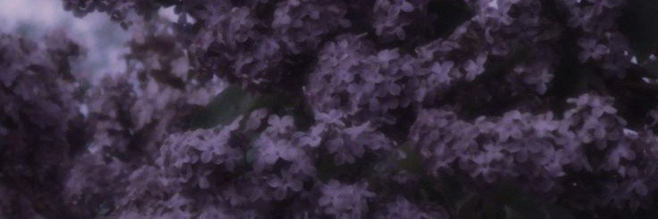 killinrocknroll's profile banner image