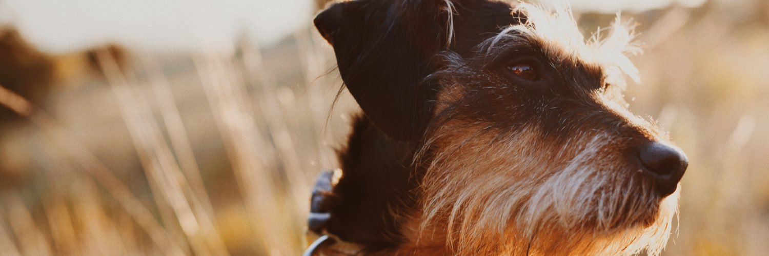 BautiMerino's profile banner image