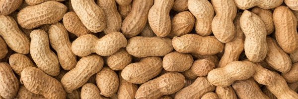 peanutfnf Profile Banner