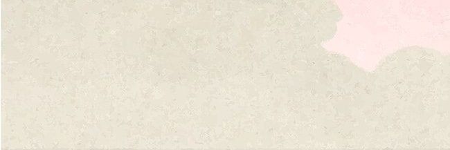 Deukiekoo's profile banner image