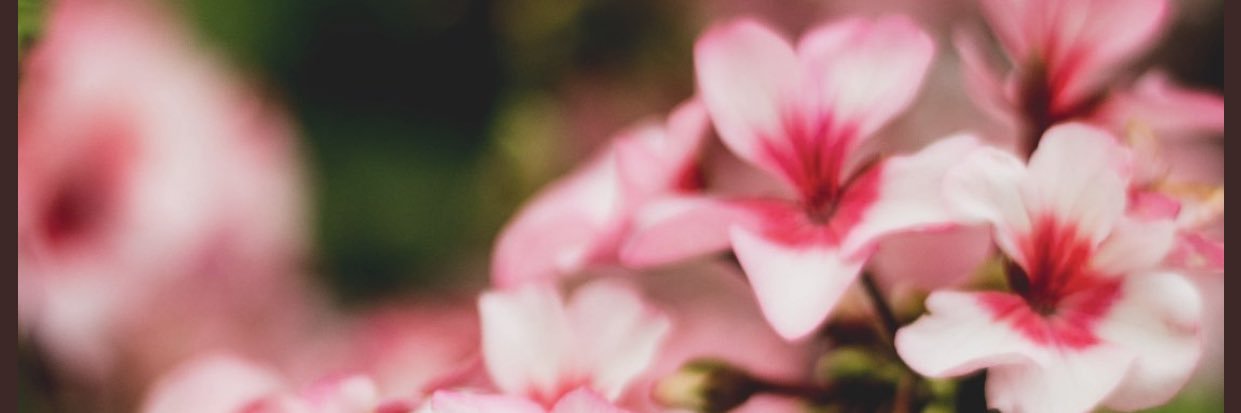 dangkiks's profile banner image