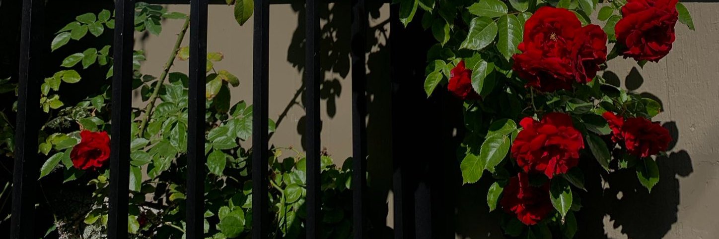 A̷l̷e̷x̷'s banner