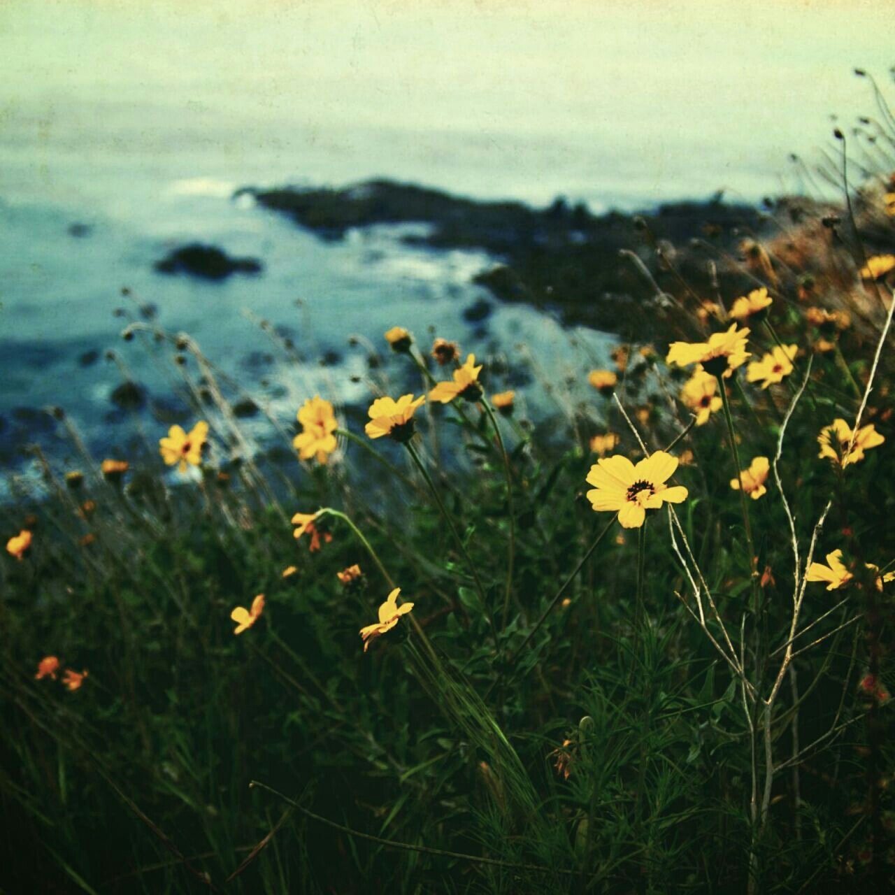 hige0134's profile banner image