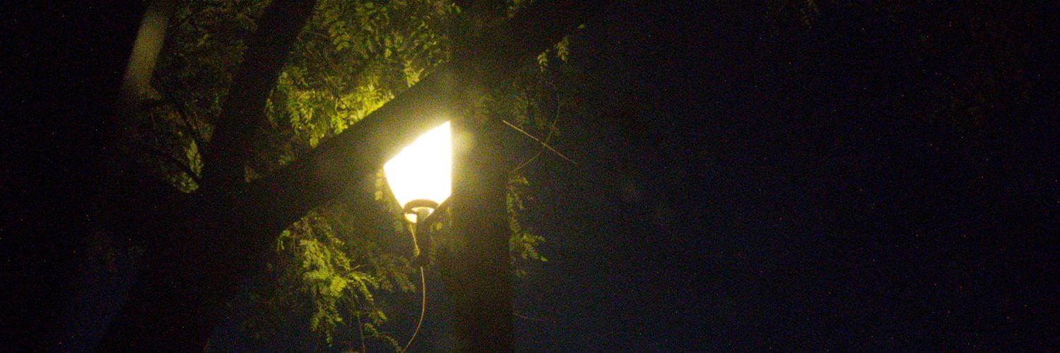 maria mole ♡ banner