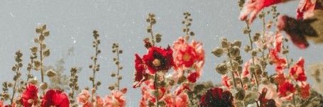 paucabper's profile banner image