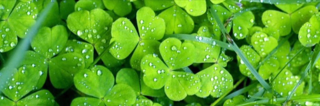 LeTref_le's profile banner image
