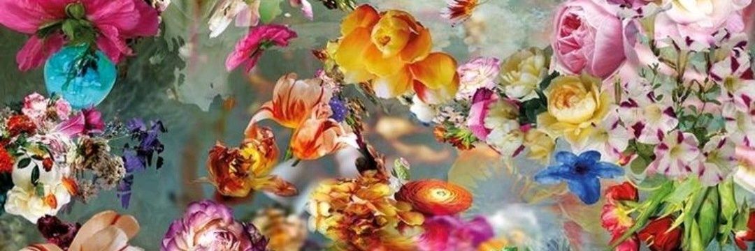 visje32's profile banner image