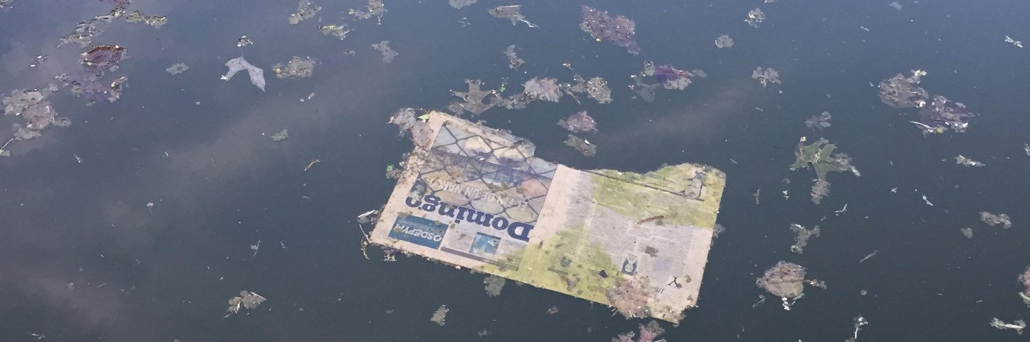 bistue_'s profile banner image
