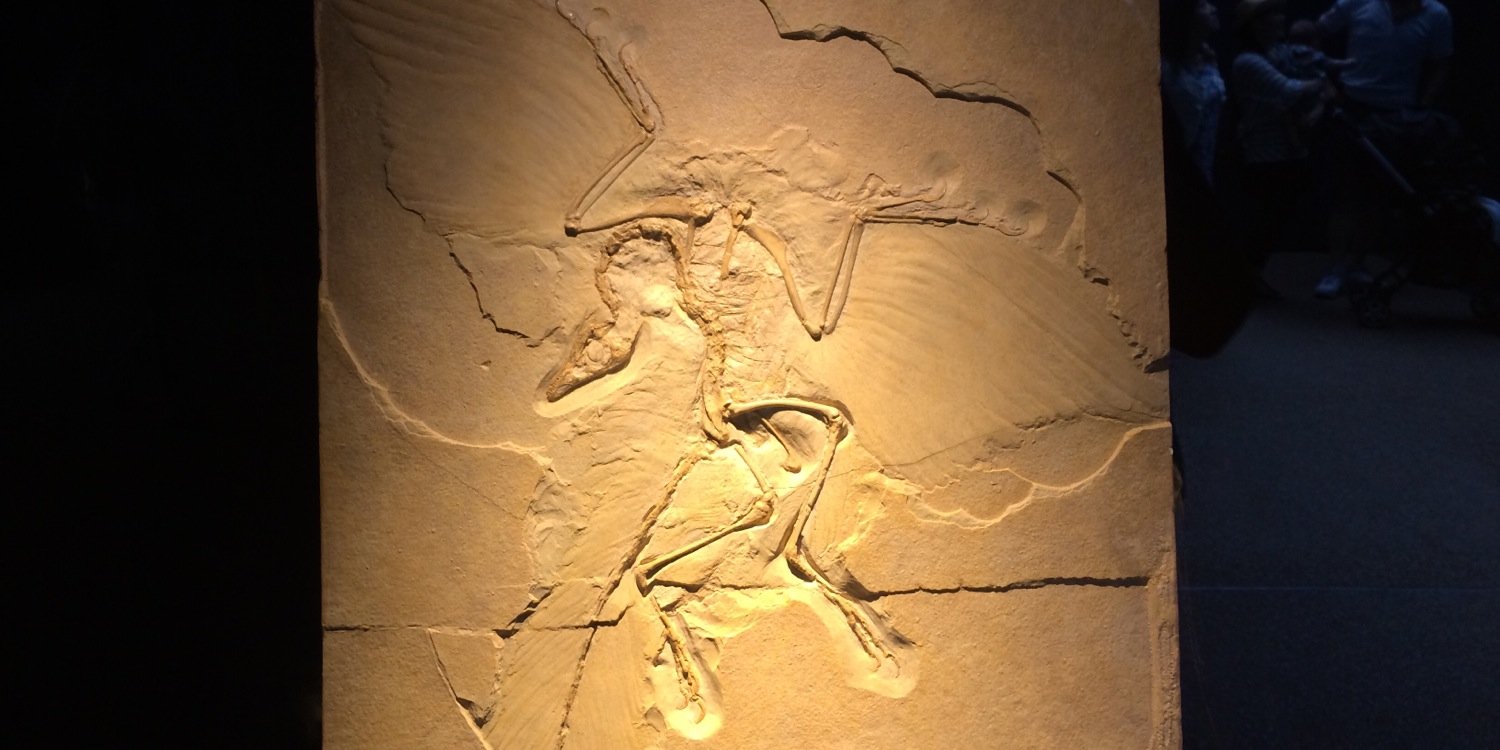 む〜𝔽𝕃𝔼𝕏 banner