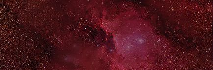 Ivo 🖤🍒 banner