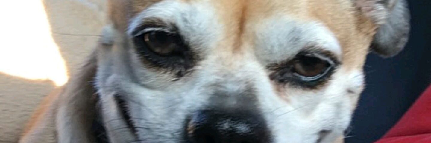 LukeSabo's profile banner image
