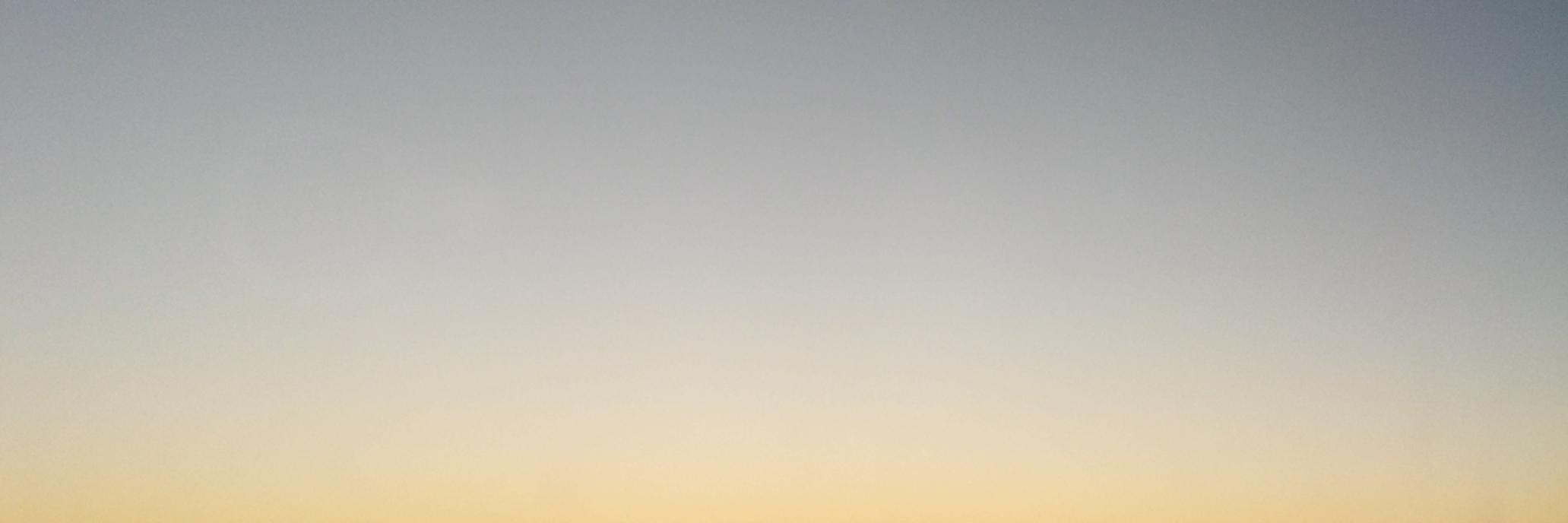 Pet Mantis Records banner