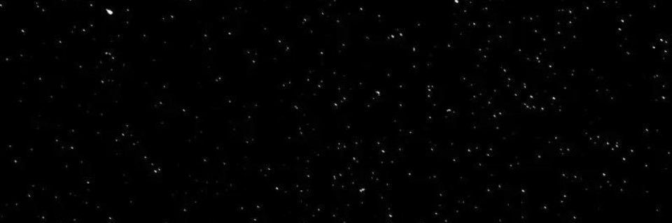 quinzerra's profile banner image