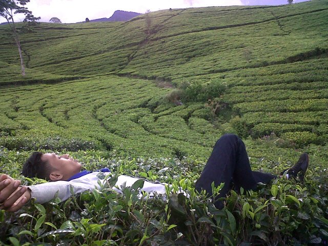KastikaAngga's profile banner image