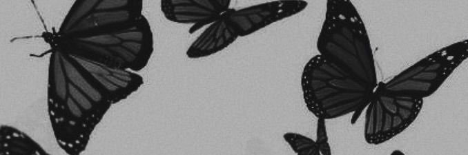 jkb1_'s profile banner image