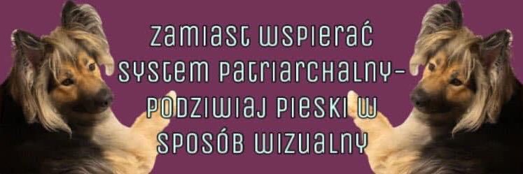 Emilia Bartkowska-Młynek banner