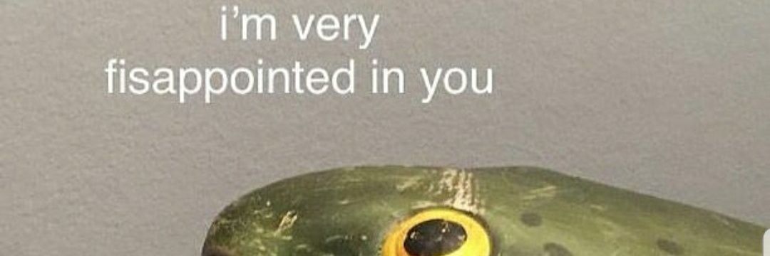 pr3nne banner