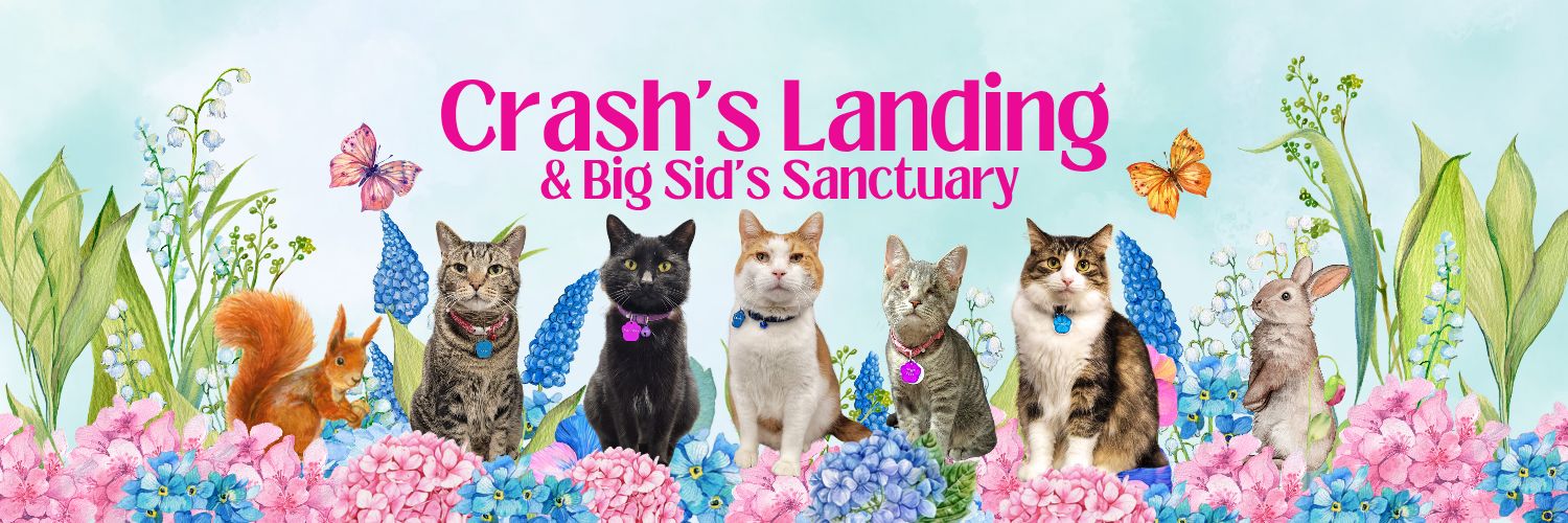 Crash's Landing's banner