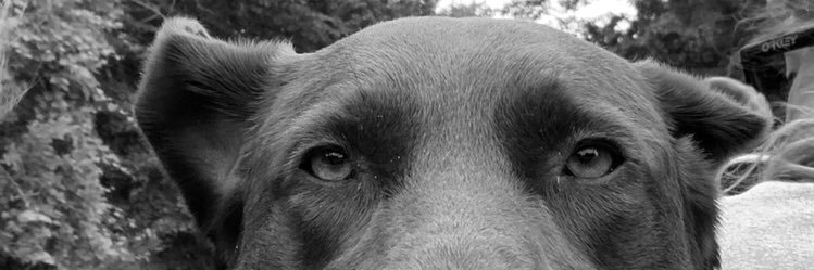 a_ruczynski's profile banner image
