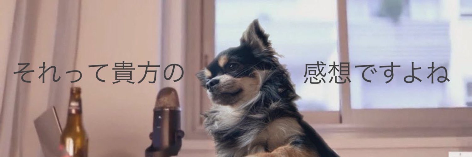 coco_toto_refle's profile banner image