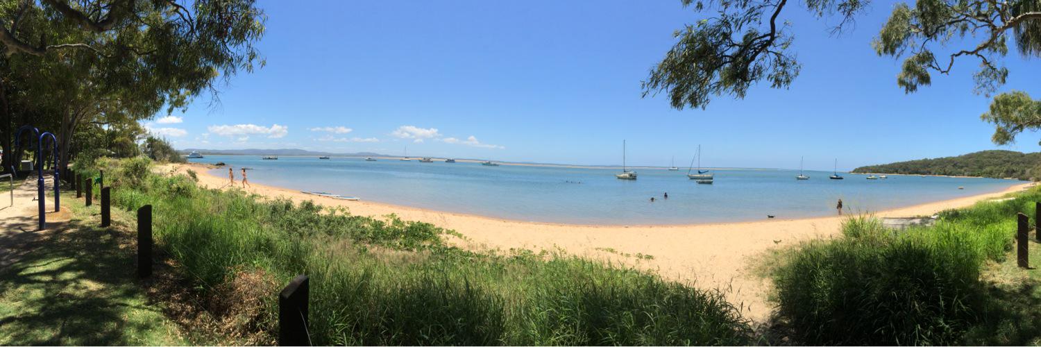 stuart holledge banner