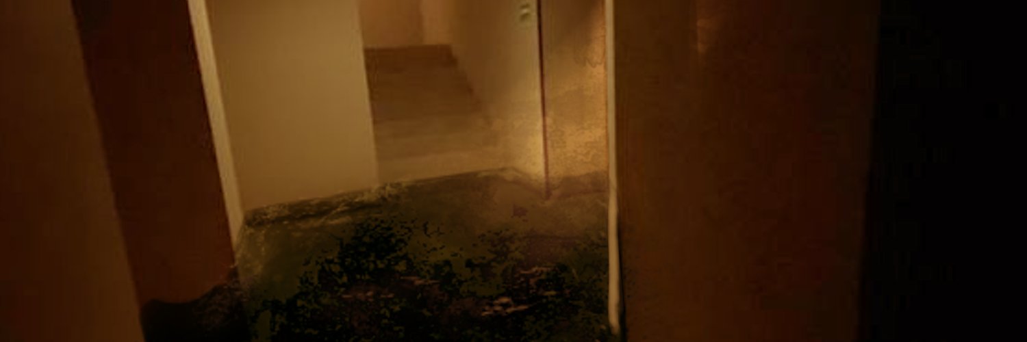 LookAtTheSkyPls's profile banner image