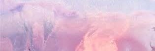 ordinarilyvenus's profile banner image