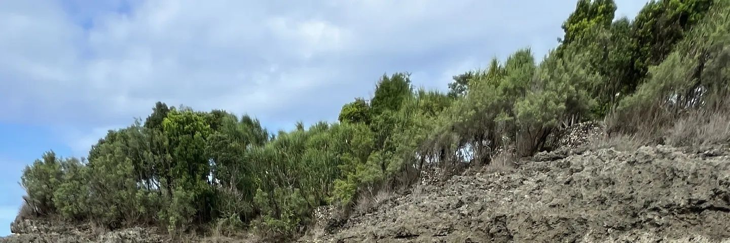 Vayeyeng's profile banner image