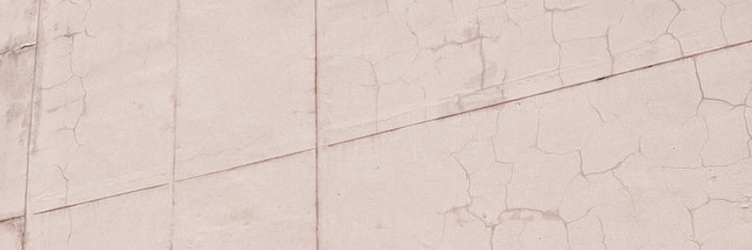 ♡ 𝒆𝒍𝒍𝒊𝒆 banner