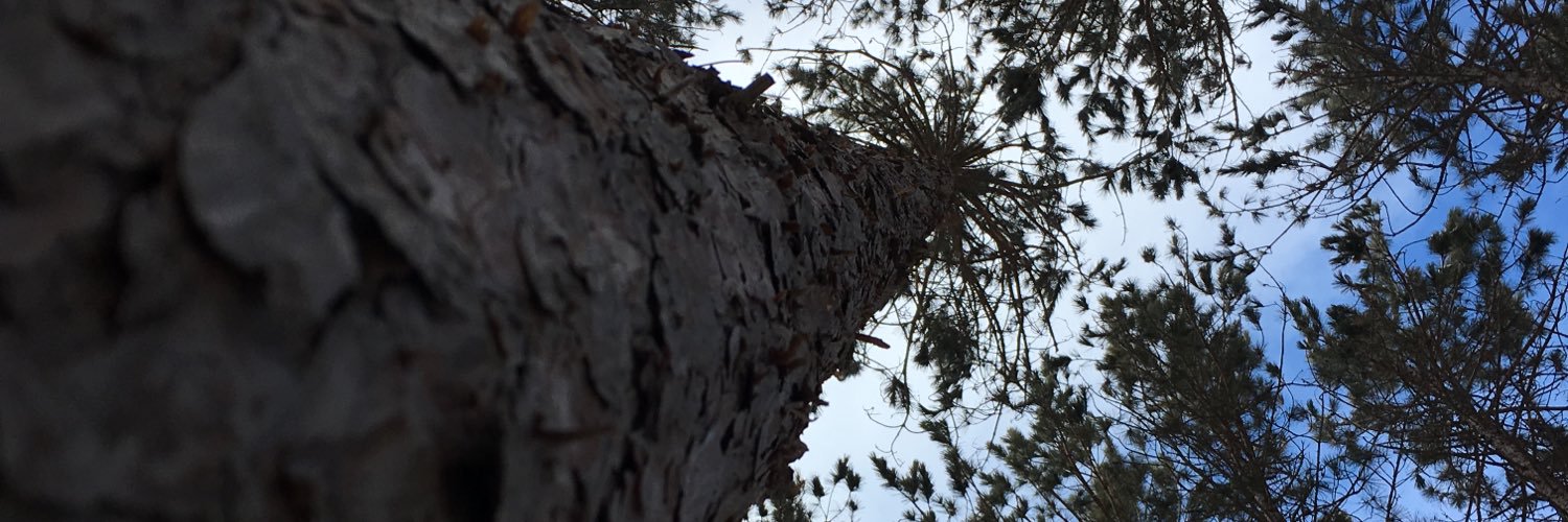 tmilby8's profile banner image