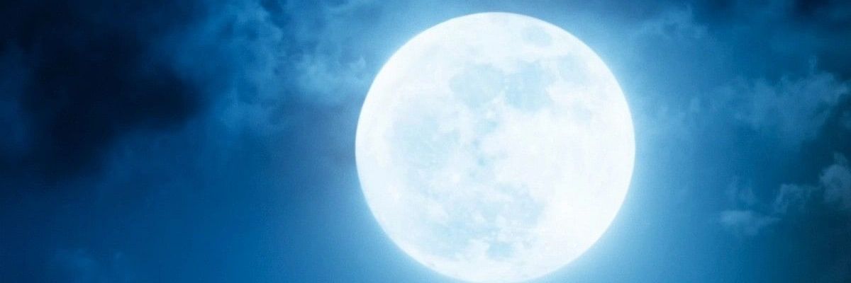 TheEdulus's profile banner image