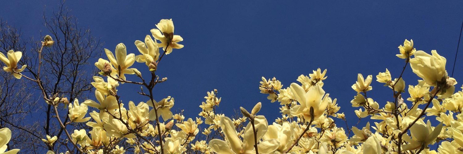 terrinappier's profile banner image